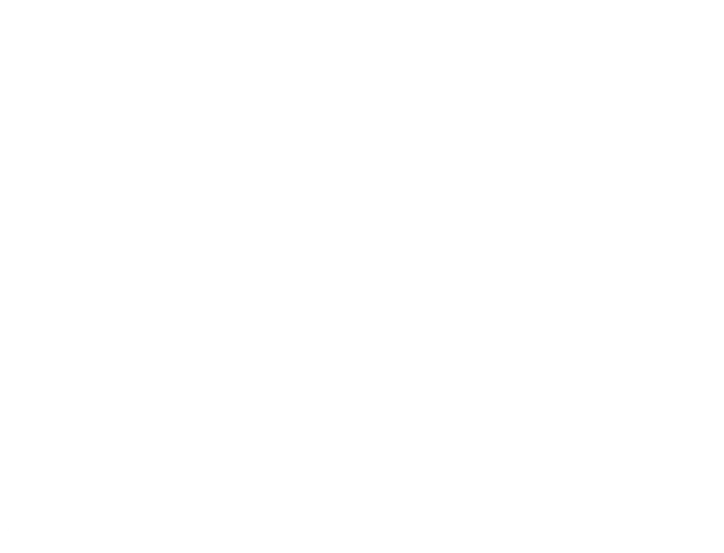 ARA FOTO